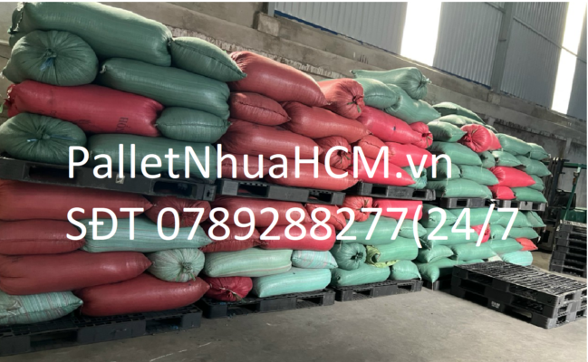 sản phẩm pallet nhựa